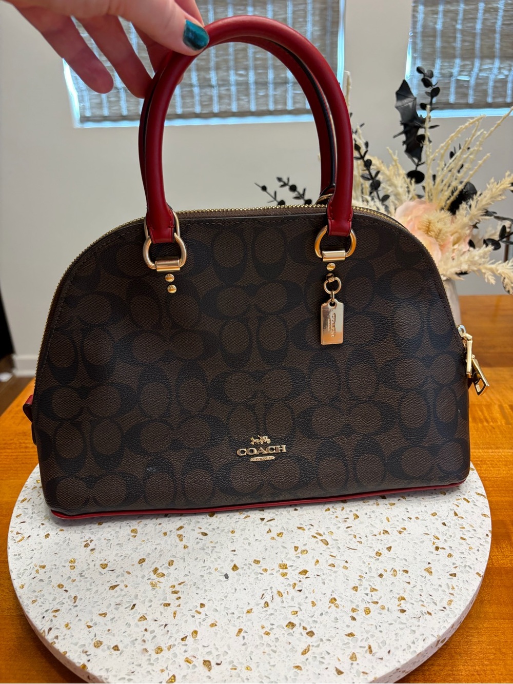 Coach Signature Dome Satchel in Brown with Red Trim and Handles